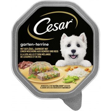 CESAR® Schale Garten-Terrine mit Geflügel, Gemüse und Reis 150g-3065890114104