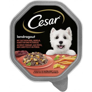 CESAR® Schale Landragout mit Rind, Nudeln und Karotten 150g-4008429052187