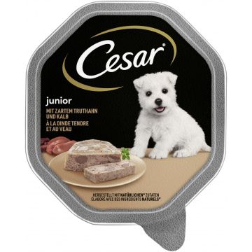 CESAR® Schale Junior mit Truthahn und Kalb 150g-4008429121609