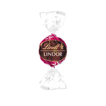 Lindt PM Lindor Double Choc. 1 x 3,000 KG-4000539814280