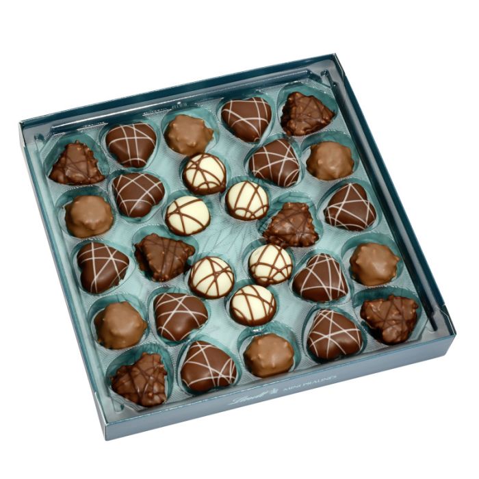 Lindt Mini Pralinés Winter 163g -4000539146541