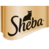 Sheba