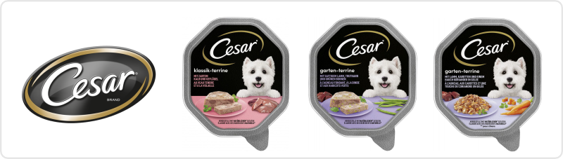 Cesar dog food