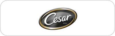 Cesar Logo